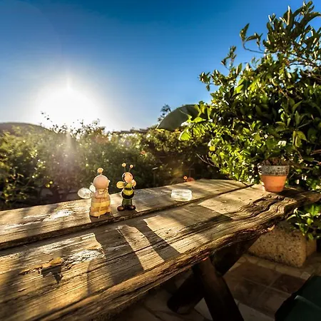 בית כפרי Casas Alberto Teleworking (adults Only) סן מיגל דה אבונה