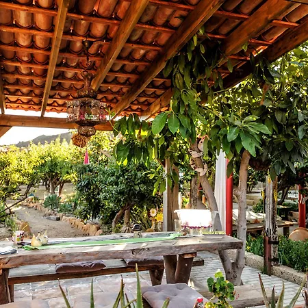 Casas Alberto Teleworking (adults Only) Landhaus San Miguel de Abona