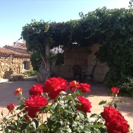 Landhaus Casas Alberto Teleworking (adults Only) San Miguel de Abona