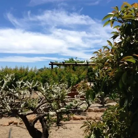 Casas Alberto Teleworking (adults Only) Landhaus San Miguel de Abona